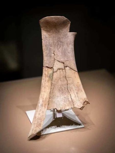 安阳非物质文化遗产(安阳非物质文化遗产有哪些)-第3张图片-八三百科 安阳非物质文化遗产(安阳非物质文化遗产有哪些)-第3张图片-八三百科