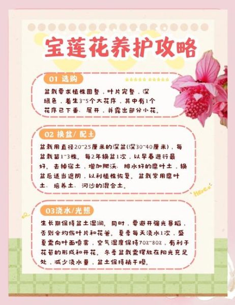 建莲非物质文化遗产（建莲非物质文化遗产技艺入门指南）-第3张图片-八三百科