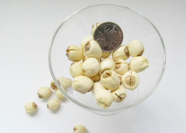 建莲非物质文化遗产（建莲非物质文化遗产技艺入门指南）-第2张图片-八三百科