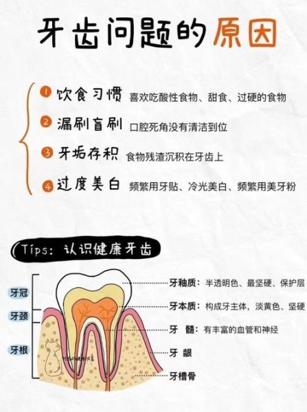 非物质文化遗产口腔（非物质文化遗产口腔健康技艺怎么入门）-第3张图片-八三百科