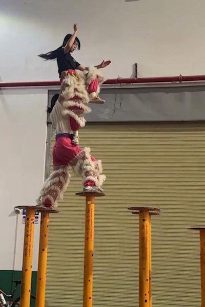 夏津非物质文化遗产遗产（夏津火狮舞非遗怎么学？零基础也能上手）-第1张图片-八三百科