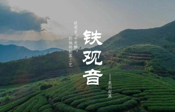 安溪非物质文化遗产遗产（安溪非物质文化遗产有哪些值得一看）-第3张图片-八三百科