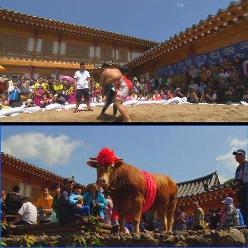 朝鲜非物质文化遗产（朝鲜非物质文化遗产有哪些）-第2张图片-八三百科