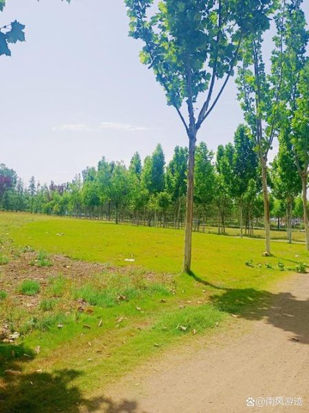 沣西新城非物质文化遗产(沣西新城非遗研学路线怎么走)-第2张图片-八三百科 沣西新城非物质文化遗产(沣西新城非遗研学路线怎么走)-第2张图片-八三百科