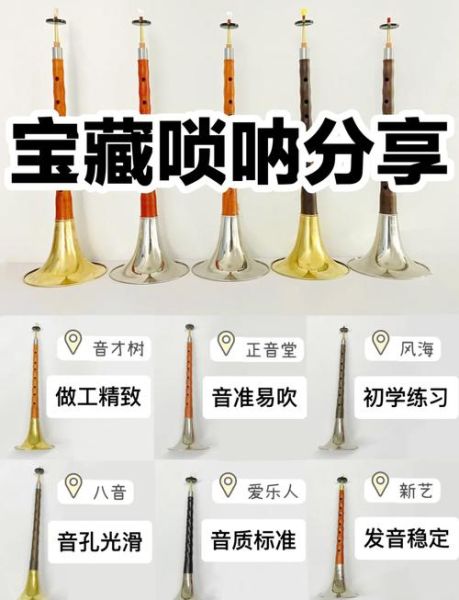 非物质文化遗产唢呐曲牌（唢呐曲牌大全入门指南）-第3张图片-八三百科