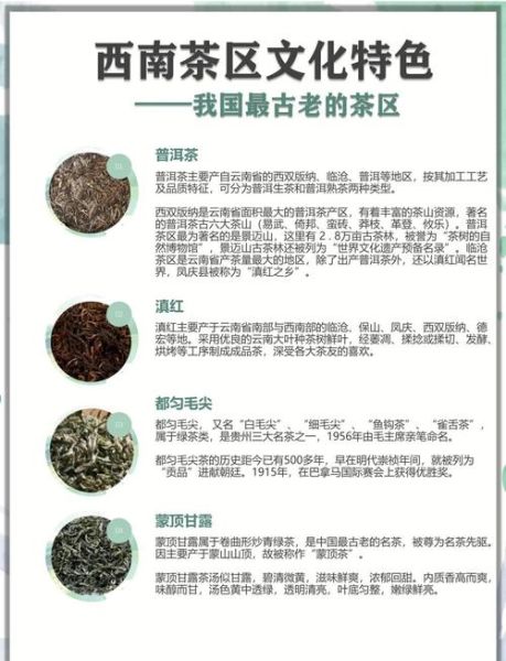 茶叶非物质文化遗产名录（茶叶非遗有哪些？一份新手入门地图）-第3张图片-八三百科