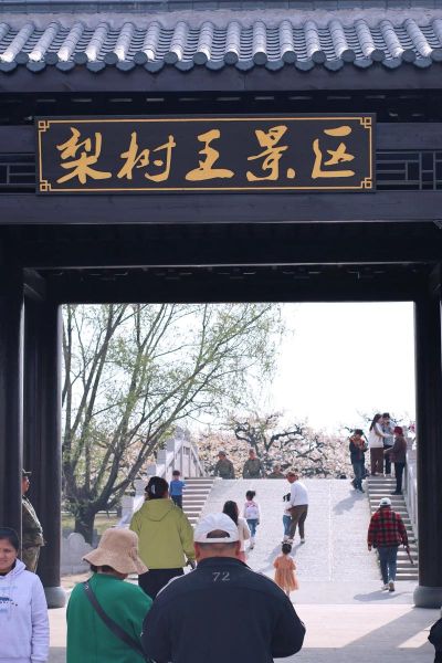 砀山非物质文化遗产中心（砀山非遗中心在哪？怎么去最方便）-第3张图片-八三百科