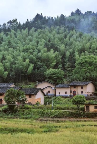 茶陵桃坑非物质文化遗产（茶陵桃坑非遗有哪些项目值得看）-第1张图片-八三百科