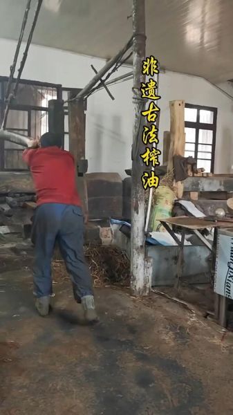 压榨工艺非物质文化遗产（传统压榨工艺非遗怎么保护新手也能下手）-第1张图片-八三百科