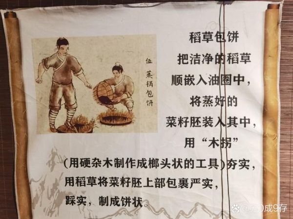 压榨工艺非物质文化遗产（传统压榨工艺非遗怎么保护新手也能下手）-第2张图片-八三百科