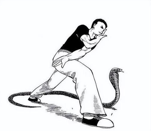 非物质文化遗产蛇拳（蛇拳入门基本功动作教学）-第2张图片-八三百科