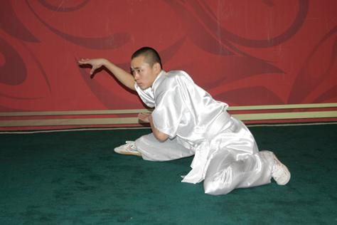 非物质文化遗产蛇拳（蛇拳入门基本功动作教学）-第1张图片-八三百科