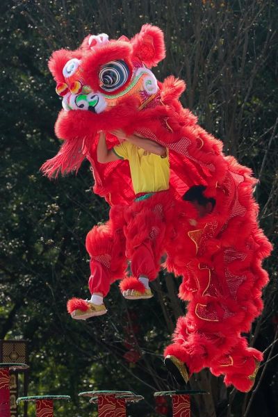 非物质文化遗产醒狮（非物质文化遗产醒狮表演为何吸引人）-第1张图片-八三百科