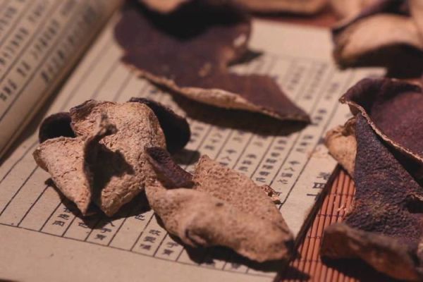 非物质文化遗产 炮制（传统中药炮制技艺为何入选非遗）-第1张图片-八三百科