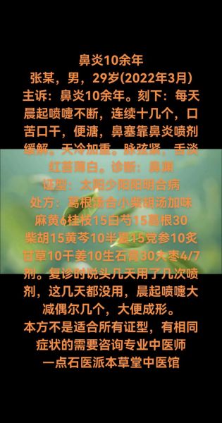 非物质文化遗产 鼻炎（过敏性鼻炎传统疗法大全）-第2张图片-八三百科