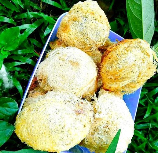 南燕非物质文化遗产（南燕非遗有哪些绝活值得学）-第3张图片-八三百科