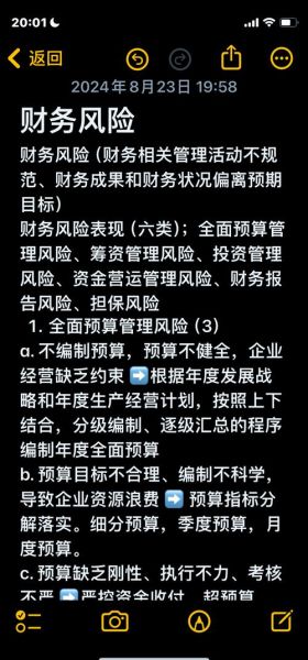 非物质文化遗产财务风险（非物质文化遗产项目常见财务风险及防范）-第1张图片-八三百科