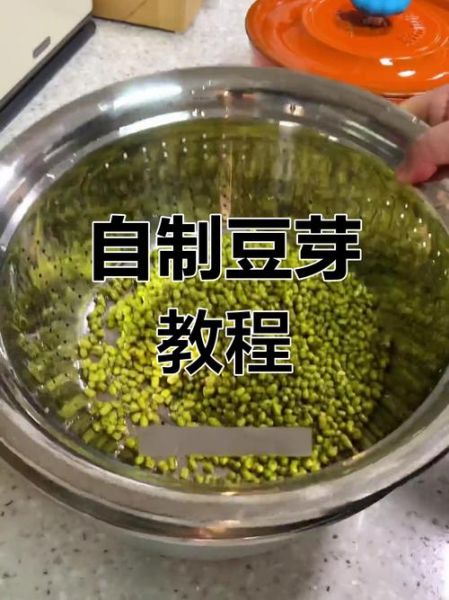非物质文化遗产豆芽（非物质文化遗产豆芽的传统工艺怎么申请）-第1张图片-八三百科