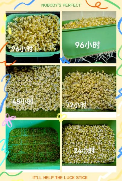 非物质文化遗产豆芽（非物质文化遗产豆芽的传统工艺怎么申请）-第2张图片-八三百科