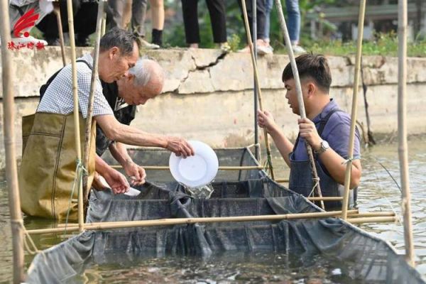 捞鱼河非物质文化遗产(捞鱼河非遗渔歌怎么唱)-第3张图片-八三百科 捞鱼河非物质文化遗产(捞鱼河非遗渔歌怎么唱)-第3张图片-八三百科