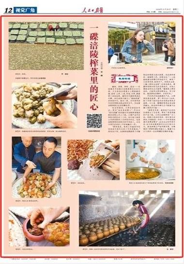 榨菜非物质文化遗产(榨菜非物质文化遗产工艺为何鲜为人知)-第1张图片-八三百科 榨菜非物质文化遗产(榨菜非物质文化遗产工艺为何鲜为人知)-第1张图片-八三百科