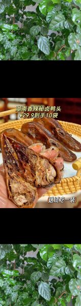 非物质文化遗产卤鸭头（非物质文化遗产卤鸭头怎么做正宗口味）-第2张图片-八三百科