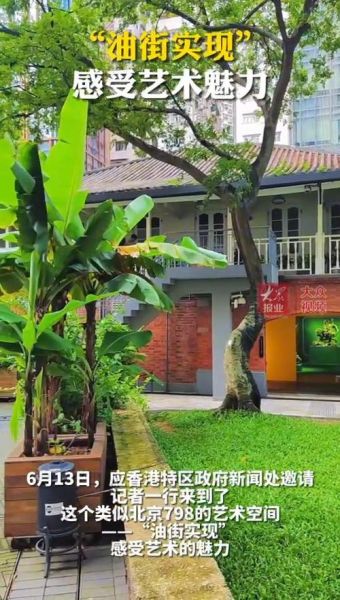 香港非物质文化遗产种植（香港非物质文化遗产种植基地在哪里）-第3张图片-八三百科