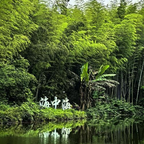 蜀南竹海非物质文化遗产（蜀南竹海有哪些非物质文化遗产）-第3张图片-八三百科