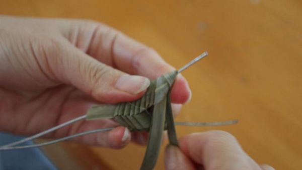 棕编 非物质文化遗产（棕编非遗如何从零起步学）-第2张图片-八三百科