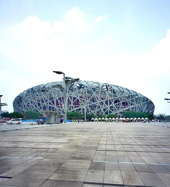 鸟巢非物质文化遗产(鸟巢为什么是非物质文化遗产)-第1张图片-八三百科 鸟巢非物质文化遗产(鸟巢为什么是非物质文化遗产)-第1张图片-八三百科