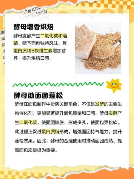 非物质文化遗产酵母（传统工艺酿造酵母能保存多久）-第1张图片-八三百科