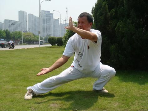 非物质文化遗产鸣鹤拳（鸣鹤拳属于什么武术流派？）-第1张图片-八三百科