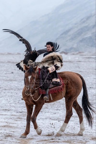 非物质文化遗产猎鹰文化（非物质文化遗产猎鹰文化传承现状及入门指南）-第3张图片-八三百科