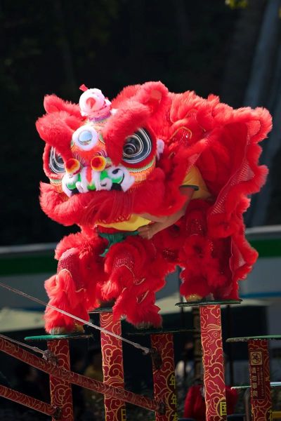 石龙醒狮非物质文化遗产（石龙醒狮非遗技艺适合小学生学吗）-第1张图片-八三百科