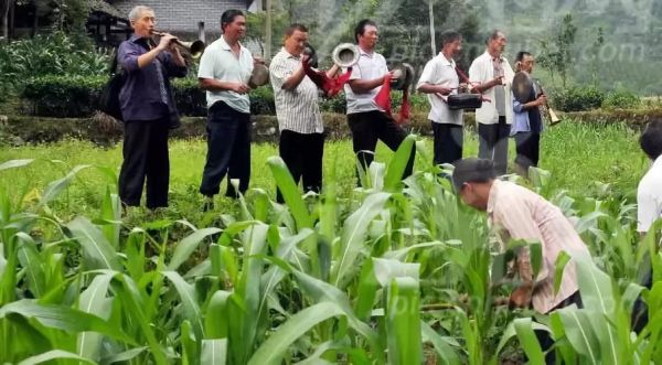 青川的非物质文化遗产(青川川北薅草锣鼓完整版哪里看)-第3张图片-八三百科 青川的非物质文化遗产(青川川北薅草锣鼓完整版哪里看)-第3张图片-八三百科