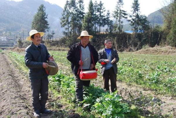 青川的非物质文化遗产(青川川北薅草锣鼓完整版哪里看)-第1张图片-八三百科 青川的非物质文化遗产(青川川北薅草锣鼓完整版哪里看)-第1张图片-八三百科