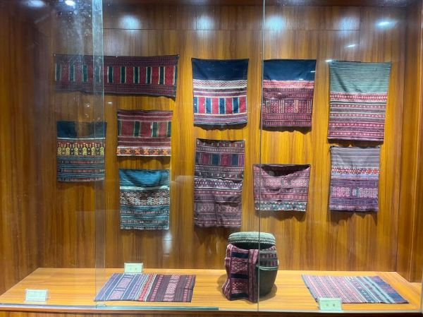 中国非物质文化遗产黎医（黎族医药国家级非遗有哪些独特疗法）-第2张图片-八三百科