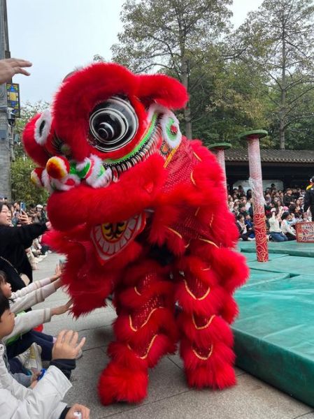 佛山非物质文化遗产狮舞(佛山非遗狮舞入门新手该如何观赏)-第2张图片-八三百科 佛山非物质文化遗产狮舞(佛山非遗狮舞入门新手该如何观赏)-第2张图片-八三百科