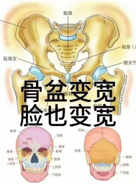 骨盆非物质文化遗产（骨盆非遗技艺有哪些常见类别）-第3张图片-八三百科
