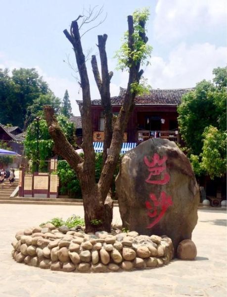 岜沙村非物质文化遗产（岜沙苗寨非遗旅游攻略）-第1张图片-八三百科