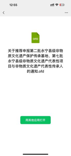 县域非物质文化遗产汇报（县域非遗调研汇报材料完整指南）-第2张图片-八三百科