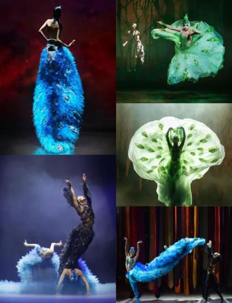 非物质文化遗产孔雀（非遗孔雀舞初学者入门图解）-第2张图片-八三百科