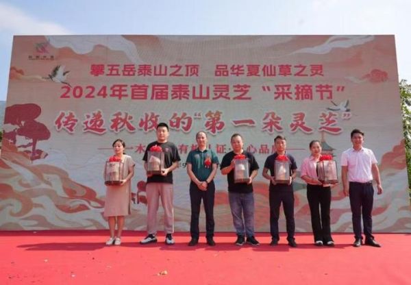 泰山四宝非物质文化遗产（泰山四宝非遗是什么值得收藏吗）-第1张图片-八三百科