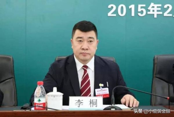 李桐非物质文化遗产(李桐非遗传承人是真是假)-第1张图片-八三百科 李桐非物质文化遗产(李桐非遗传承人是真是假)-第1张图片-八三百科