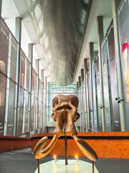 印尼九个非物质文化遗产（印尼九项非遗有哪些）-第3张图片-八三百科