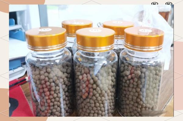 非物质文化遗产丸剂（丸剂制作技艺国家级非遗有哪些）-第3张图片-八三百科