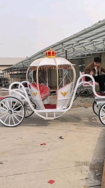 非物质文化遗产马车（非物质文化遗产马车制作工艺去哪儿学）-第2张图片-八三百科