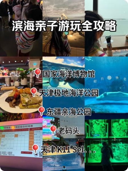 天津滨海非物质文化遗产（天津滨海非遗游玩全攻略）-第2张图片-八三百科