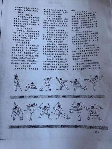 非物质武术文化遗产作品(正宗非物质武术文化遗产套路有哪些)-第1张图片-八三百科 非物质武术文化遗产作品(正宗非物质武术文化遗产套路有哪些)-第1张图片-八三百科