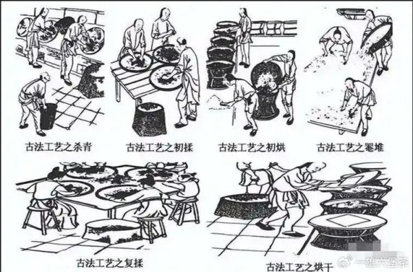 六堡非物质文化遗产（六堡茶非遗技艺怎么入门）-第2张图片-八三百科